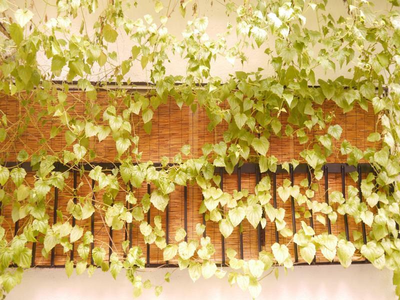 Serendipity At Kyoto Exterior photo